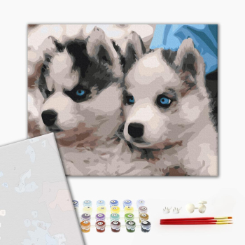 Картина по номерам Преміум картини - Цуценята хаскі