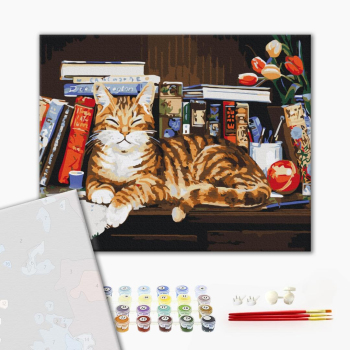 Картина по номерам Преміум картини - Кіт на книжковій полиці