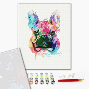 Барвистий бульдог