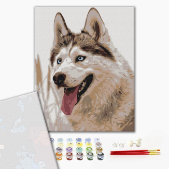 Картина по номерам Преміум картини - Сіроманець