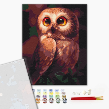 Картина по номерам Преміум картини - Допитлива сова
