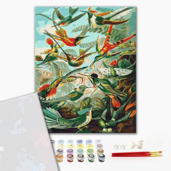 Картина по номерам Преміум картини - Пернате царство