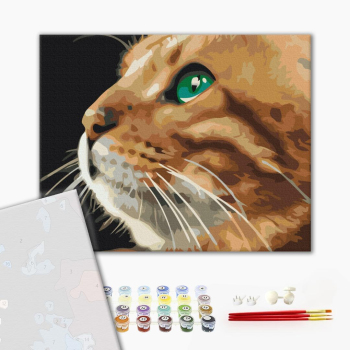 Картина по номерам Преміум картини - Погляд рижулі
