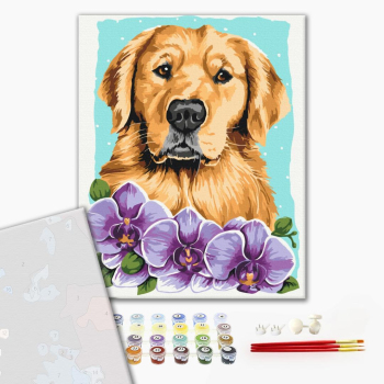 Картина по номерам Преміум картини - Золотистий ретривер © Anna Kulyk