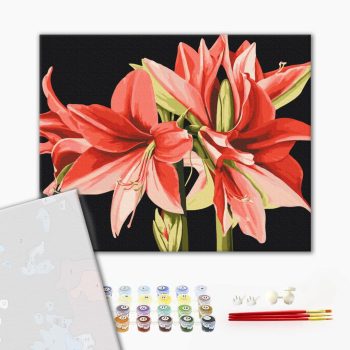 Картина по номерам Преміум картини - Амариліс © Anastasiia Osmolovska