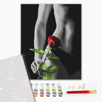 Картина по номерам Преміум картини - Елегантний акцент