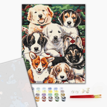 Картина по номерам Преміум картини - Цуцики