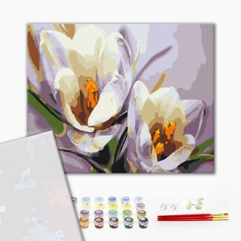 Картина по номерам Преміум картини - Крокуси