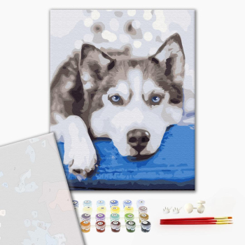Картина по номерам Преміум картини - Хаскі в очікувані