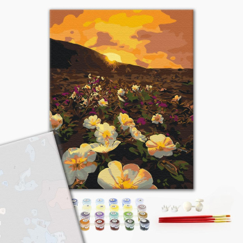Картина по номерам Преміум картини - Квіти сонця