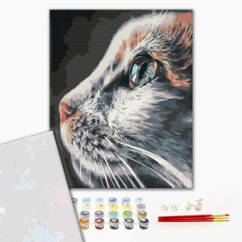 Картина по номерам Преміум картини - Котопрофіль