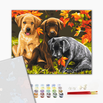 Картина по номерам Преміум картини - Три цуценя