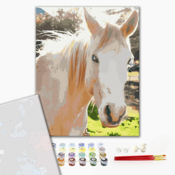 Картина по номерам Преміум картини - Білий кінь