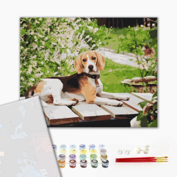 Картина по номерам Преміум картини - Довговухий друг