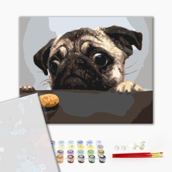 Картина по номерам Преміум картини - Мопсик