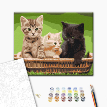 Картина по номерам Тварини, птахи та риби - Кошенята в корзині