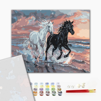 Картина по номерам Преміум картини - Дует вітрів