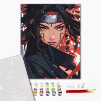 Картина по номерам Преміум картини - Ніндзя