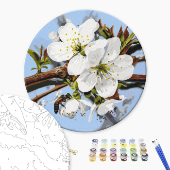 Яблоневый цвет © Anastasiia Osmolovska