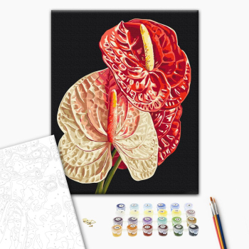 Картина по номерам Квіти - Антуріум © Anastasiia Osmolovska