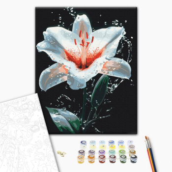 Сияние лилии