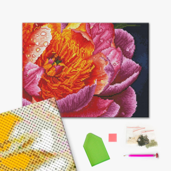 Алмазная мозаика 40x30 - Барвиста півонія