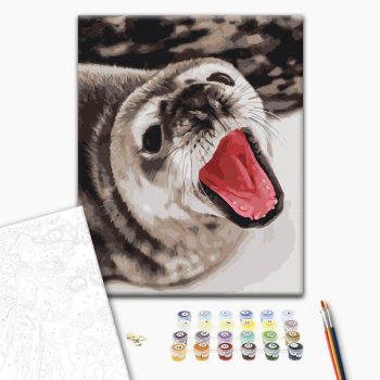 Тюленячі позіхання ©  Анна Соіна