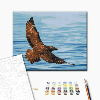 Політ південнополярного поморника © Сергій Глотов