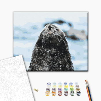 Морський котик © Сергій Глотов