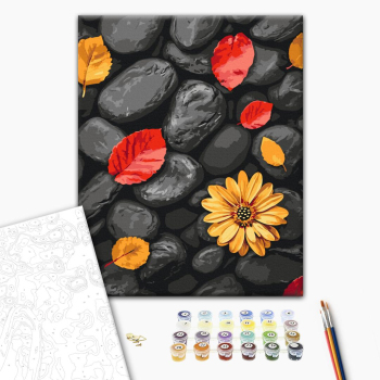 Листя на камінцях