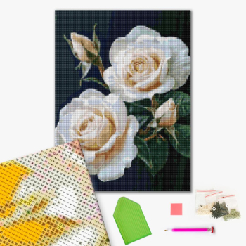 Троянди на чорному фоні