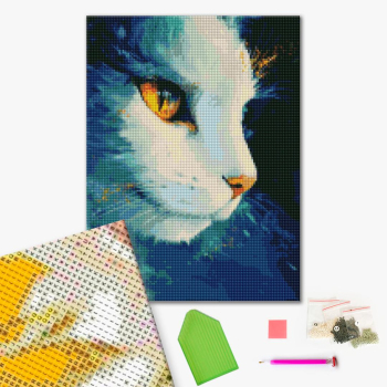 Космічна кішка