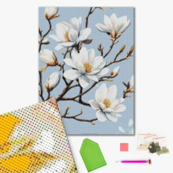 Цвіт магнолії