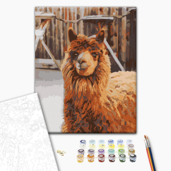 Лама на ферме