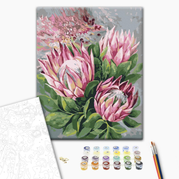 Розовые протеи