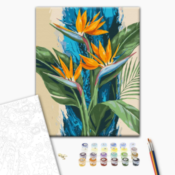 Тропические стрелиции