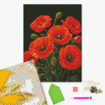 Алмазна мозаїка 40х50 - Чарівність маків