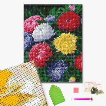 Алмазная мозаика 40x30 Власного виробництва - Різнобарвні айстри