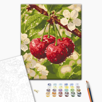 Перші краплі